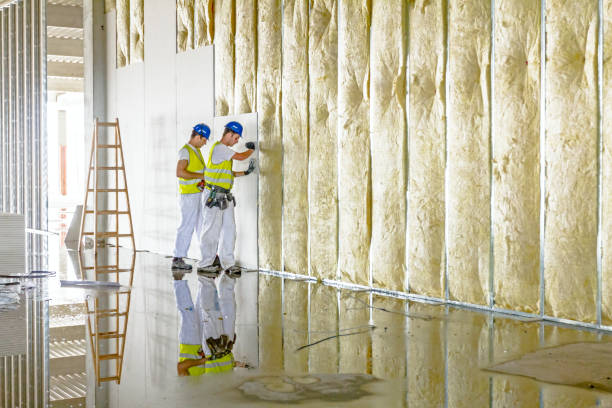 Best Attic Insulation Installation  in East Newark, NJ